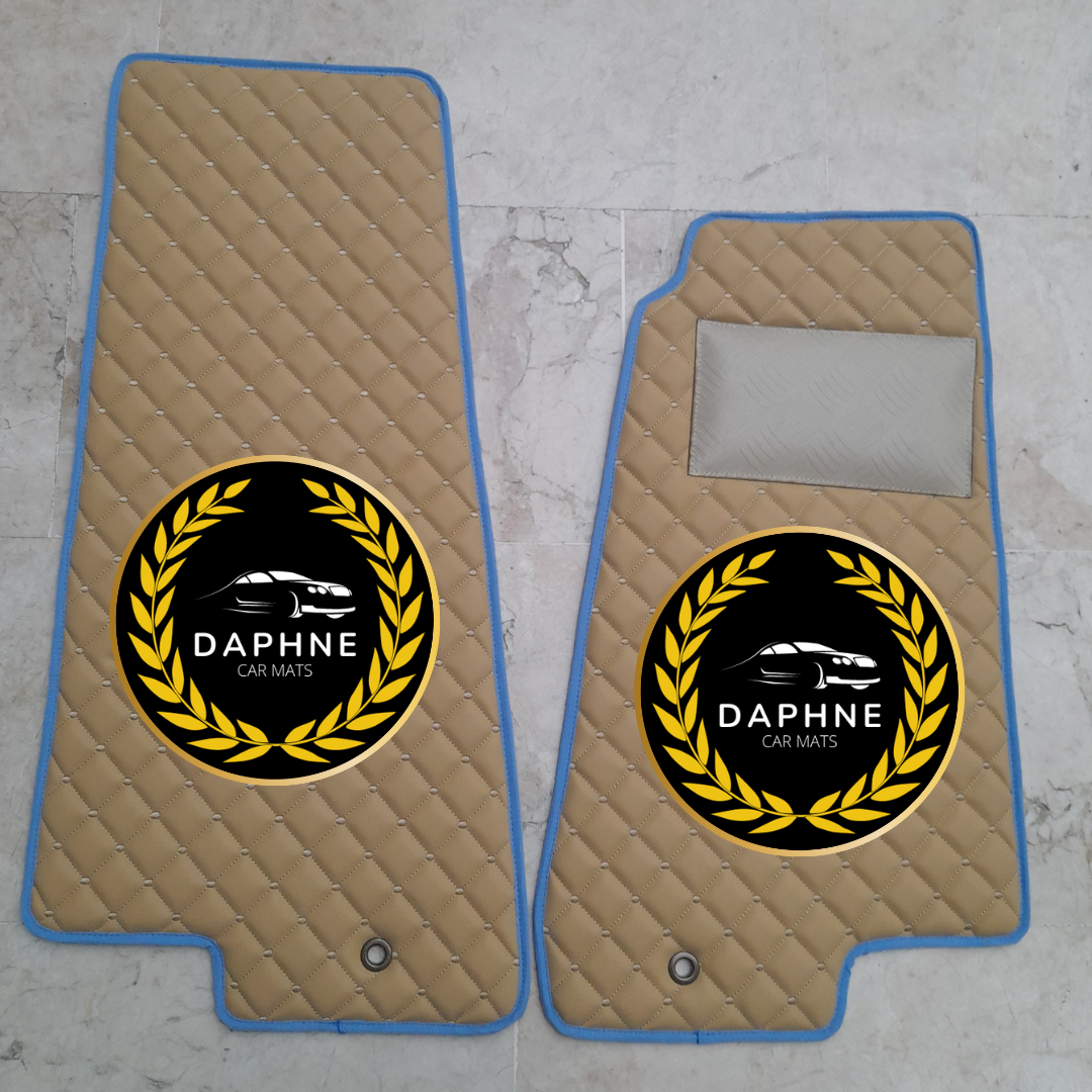 Jaguar Beige-Blue Detail